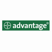 Advantage