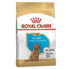 Royal Canin Poedel Puppy 3 Kg