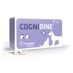 Cognidine (60 tabletten)
