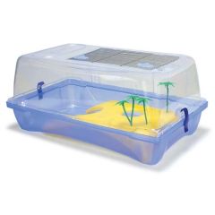 Kleo Arquivet Schildpadtank