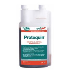 Protequin Paarden 1 l. - Verzending 3 - 5 dagen