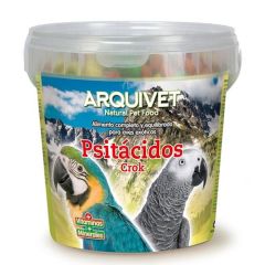 Psittacidae Crock Arquivet