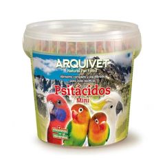 Dwergvleermuis Psittacidae