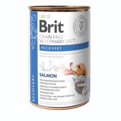 Brit GF Veterinary Diet Dog/Cat Recovery (Latas)