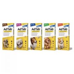 AdTab Honden