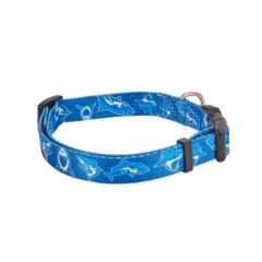 Halsband Hond Freedog Blue Shark
