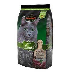 Leonardo volwassen lam