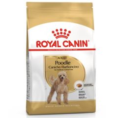 Royal Canin Poedel Adult (Poedel)