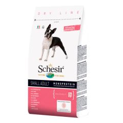 Schesir Hond Klein Volwassen Ham