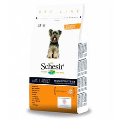 Schesir Hond Klein Volwassen Kip