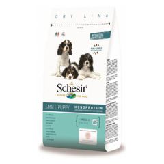 Schesir Hond Klein Puppy Kip