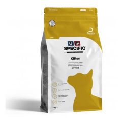 Specifieke Feline FPD Kitten