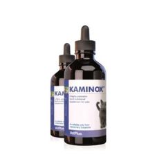 Kaminox Katten