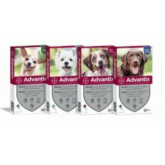 Advantix Pipetten voor honden