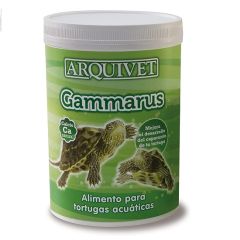 Arquivet Gammarus landschildpadden (Verzending 3 - 5 dagen)