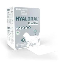 Hyaloraal plasma
