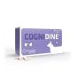 Cognidine (60 tabletten)