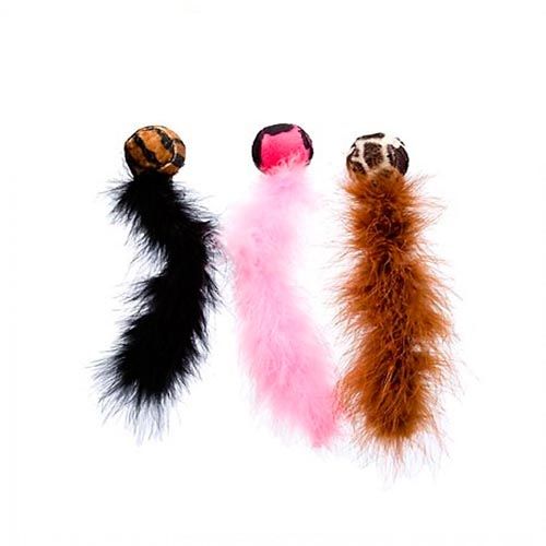 Kong Dr. Noys Kat Wilde Staarten