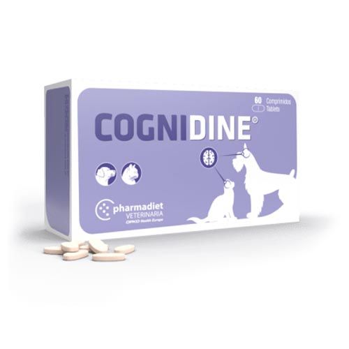 Cognidine (60 tabletten)