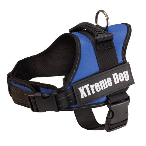 Xtreme Honden Harnas Blauw