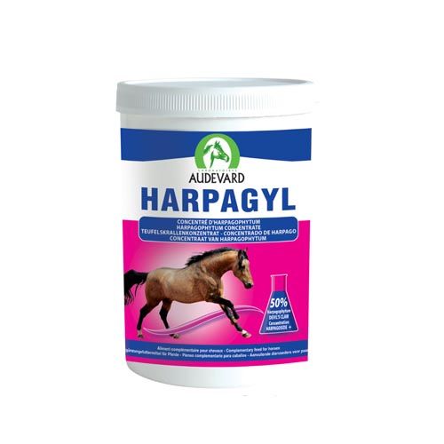 Harpagyl Paarden