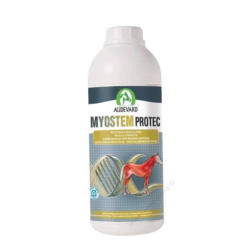 Myostem Protec Paard