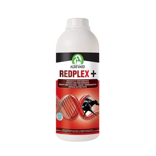 Redplex Paarden