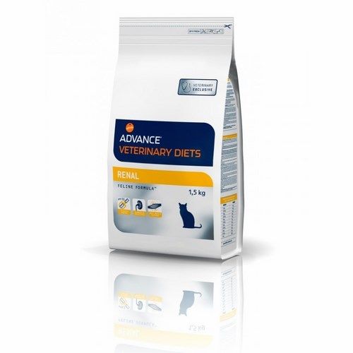 Vergevorderd nierfalen kat