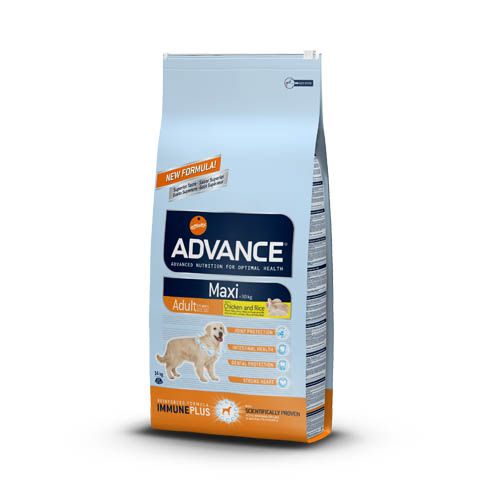 Advance Maxi Adult Kip & Rijst