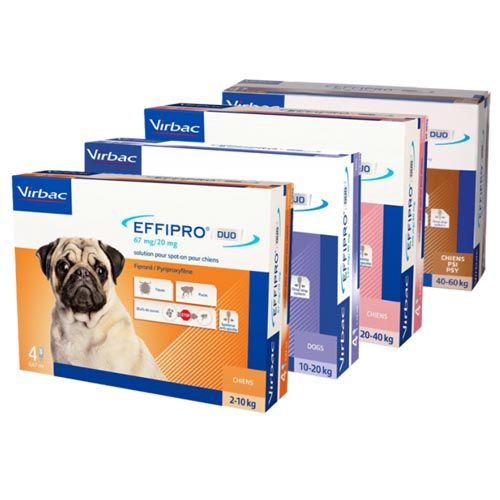 Effipro Duo pipetten voor ontwormingsmiddelen voor honden