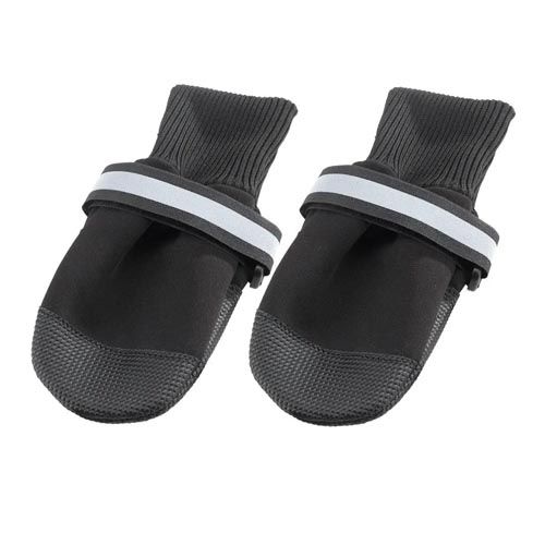 Beschermend schoeisel Hond