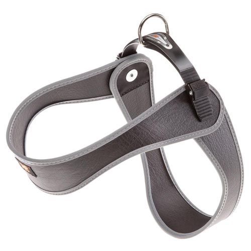 Agila Hond Harnas Zwart