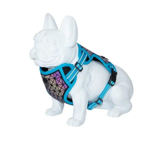 Arnés Perro Freedog Boreal Azul Capri