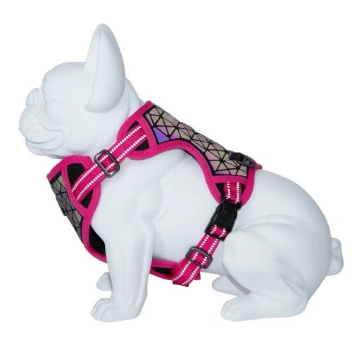 Arnés Perro Freedog Boreal Fucsia