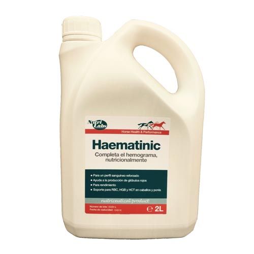 Hematine Rood Paard herstellend paard (verzending 3-5 dagen)