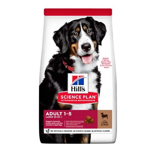 Hill´s Science Plan Canine Adult Large Breed Lam & Rijst
