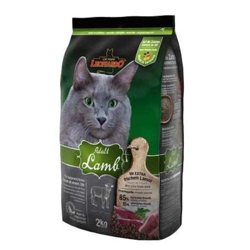 Leonardo volwassen lam