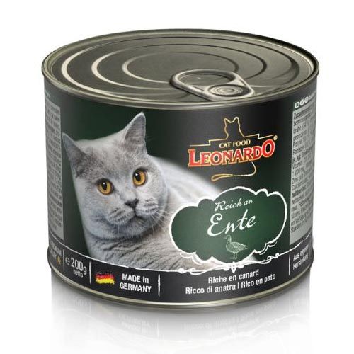 Leonardo Rijk in Eend (Blik)