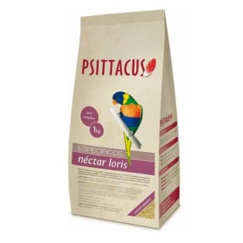 Psittacus Nectar Loris (verzending 3 -5 dagen)