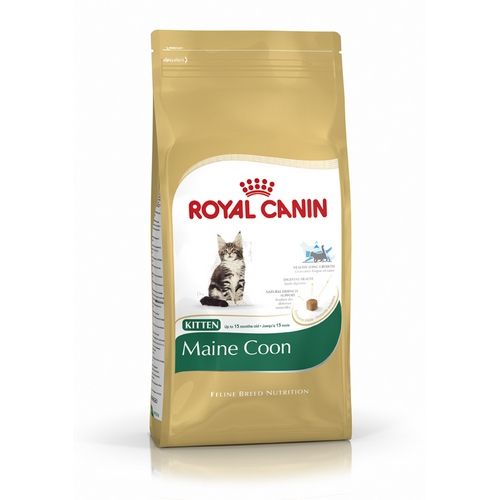 Royal Canin Kat Kitten Maine Coon