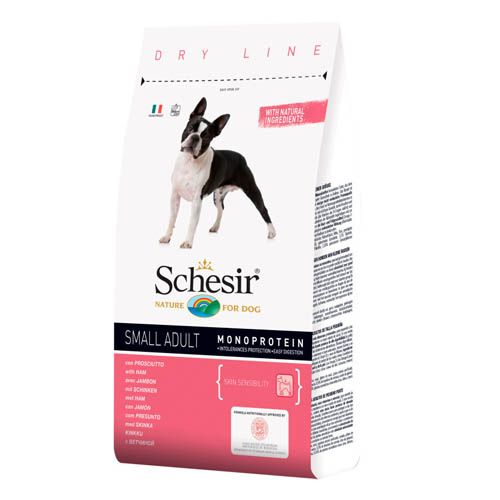 Schesir Hond Klein Volwassen Ham