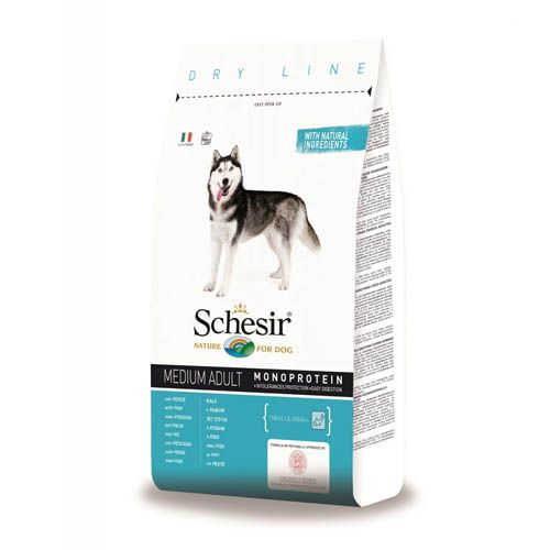 Hond Medium Volwassen Vis