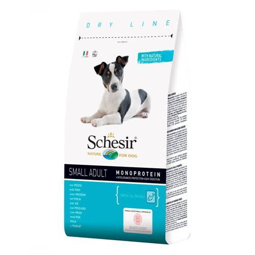 Schesir Hond Klein Volwassen Vis