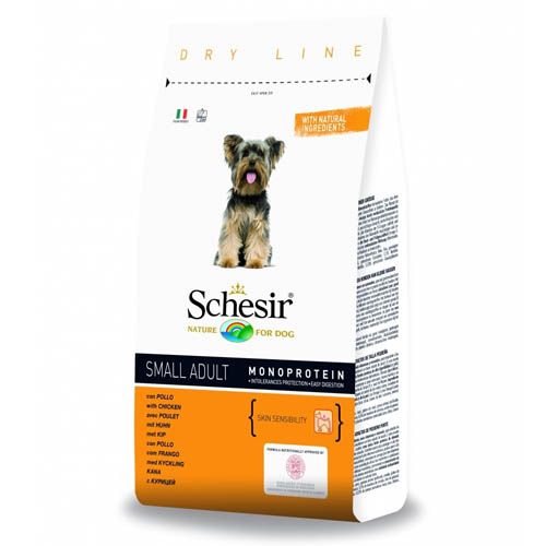 Schesir Hond Klein Volwassen Kip