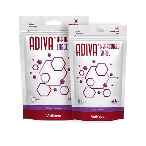 Adiva Hepaguard Kauwtabletten