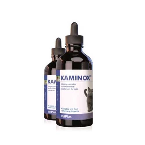 Kaminox Katten