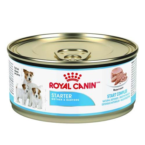 Royal Canin Dog Starter Mother & Babydog (blik) 195 gr x 12