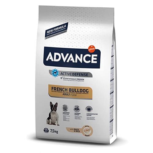 Advance Franse buldog