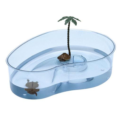 Arricot 31cm Schildpadtank