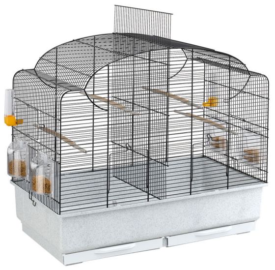 Vogelkooi Canto Negra